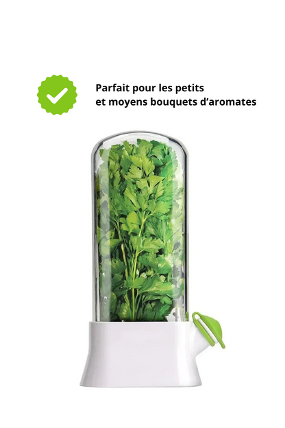 Conservateur d'herbes aromatiques